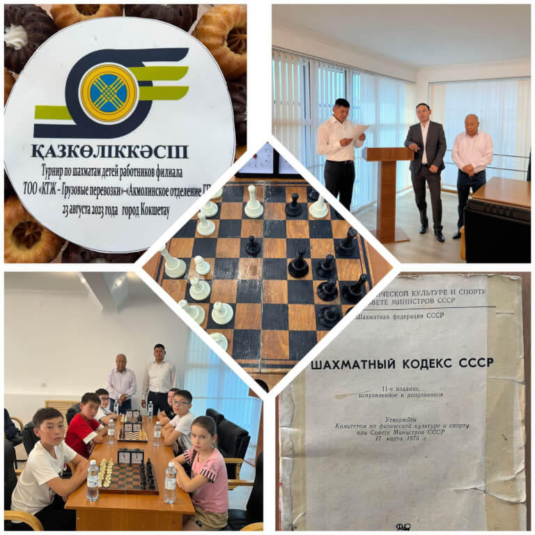 Read more about the article Отборочный шахматный турнир