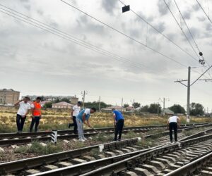 Арыс: экологиялық акцияға белсенді қатысты