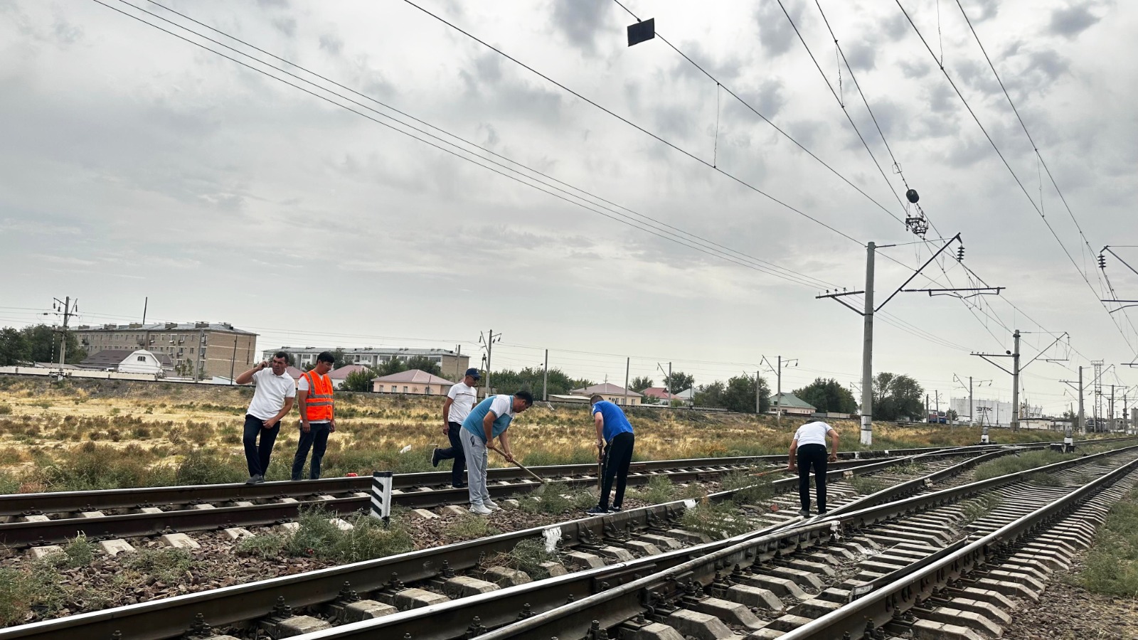 Вы сейчас просматриваете Арыс: экологиялық акцияға белсенді қатысты