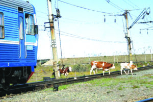 Қауіпсіздік – ортақ міндет