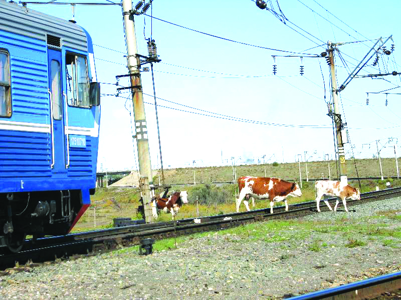Вы сейчас просматриваете Қауіпсіздік – ортақ міндет